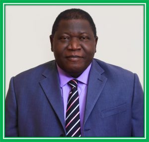 Pof Ochefu